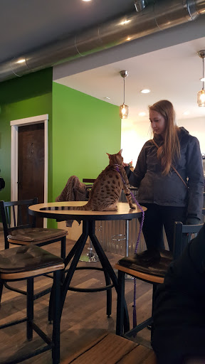 Coffee Shop «Beviamo Cafe», reviews and photos, 720 Literary Rd, Cleveland, OH 44113, USA