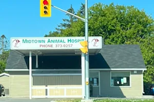 Midtown Animal Hospital image