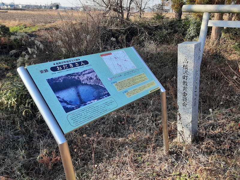 おだきさん 栃木県高根沢町上高根沢 史跡 グルコミ