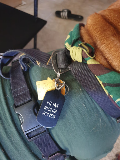 Pet Supply Store «PetSmart», reviews and photos, 263 Midway Blvd, Elyria, OH 44035, USA