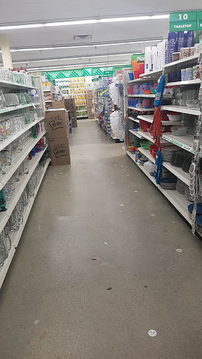 Dollar Store «Dollar Tree», reviews and photos, 935 Riverdale St G106, West Springfield, MA 01089, USA