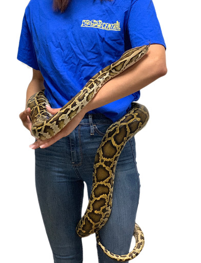 Pet Store «Pet Central», reviews and photos, 1200 Smallhouse Rd, Bowling Green, KY 42104, USA