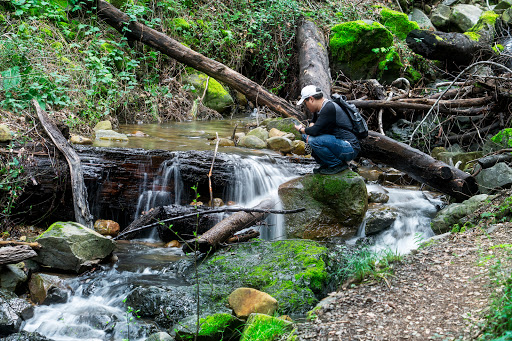 Uvas Canyon County Park image