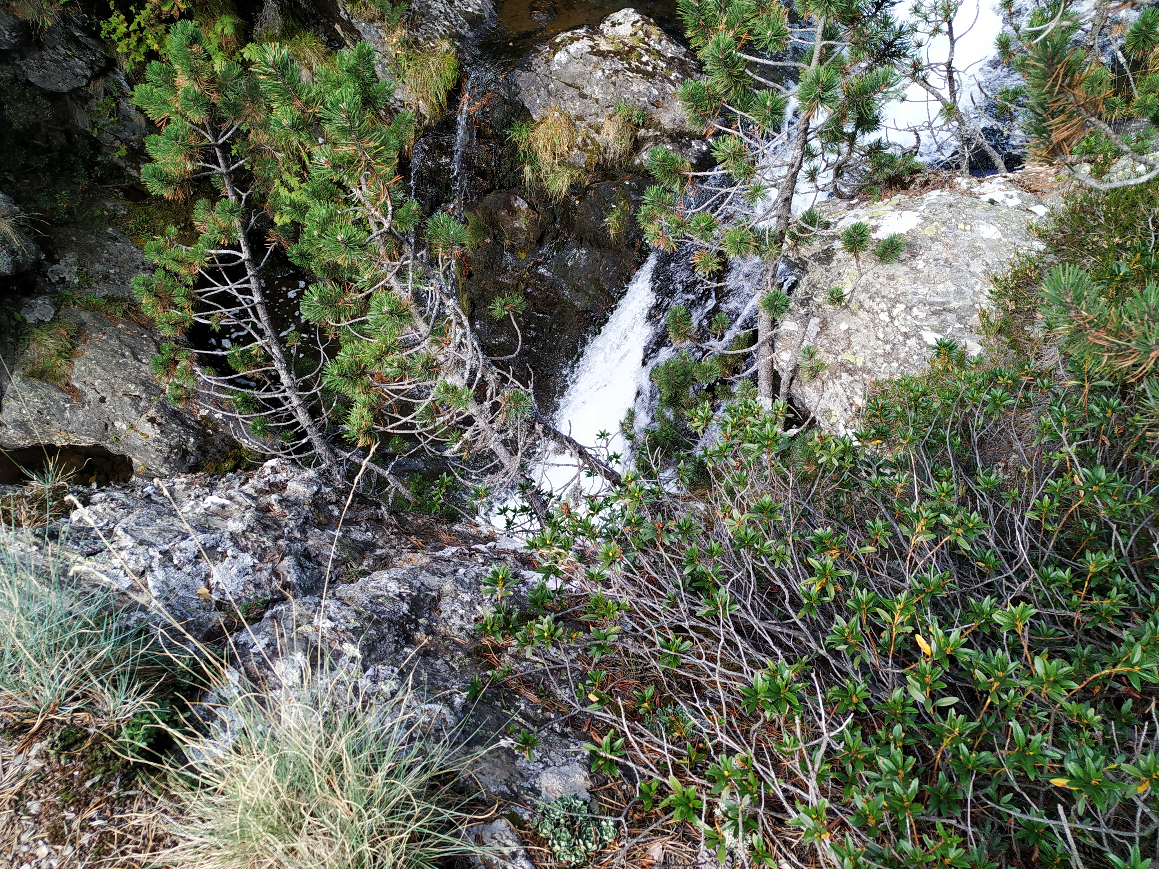 Photo n° 1 de l'avis de Maribel.a fait le 02/10/2021 à 14:03