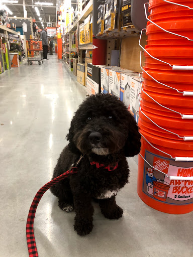 Home Improvement Store «The Home Depot», reviews and photos, 390 West St, Mansfield, MA 02048, USA