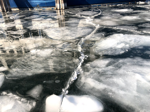 Science Museum «ECHO, Leahy Center for Lake Champlain», reviews and photos, 1 College St, Burlington, VT 05401, USA