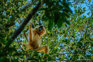 Parrot Tours Jungle Trekking, Join In Group & day tours image