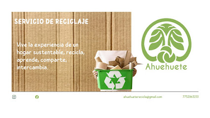 Ahuehuete reciclaje