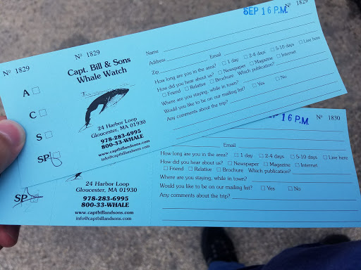 Cruise Agency «Capt. Bill & Sons Whale Watch», reviews and photos, 24 Harbor Loop, Gloucester, MA 01930, USA