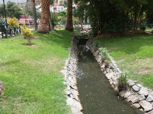 Información y opiniones sobre Dorotea Isabel Fernandez Bencomo de Hermigua