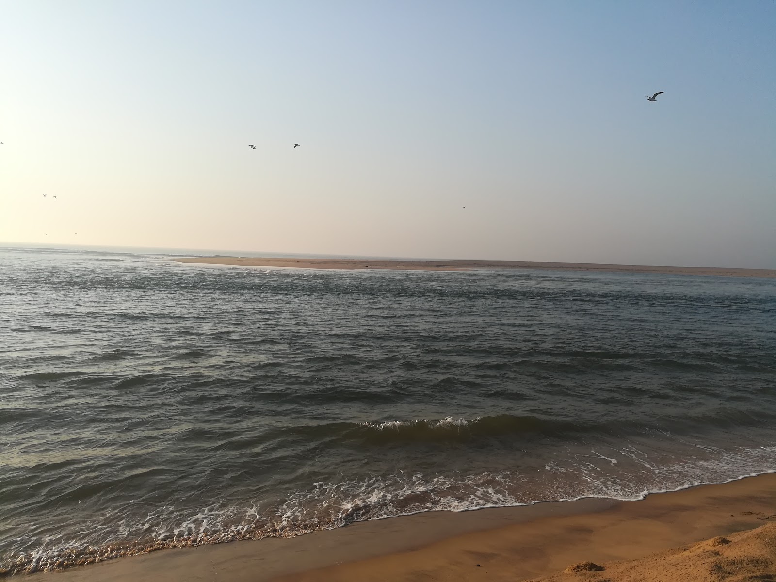 Purunabandha Sea Beach photo #8