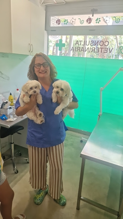 Salón de belleza mimos peluquería canina y consulta veterinaria mimos - Servicios para mascota en Castellón de la Plana