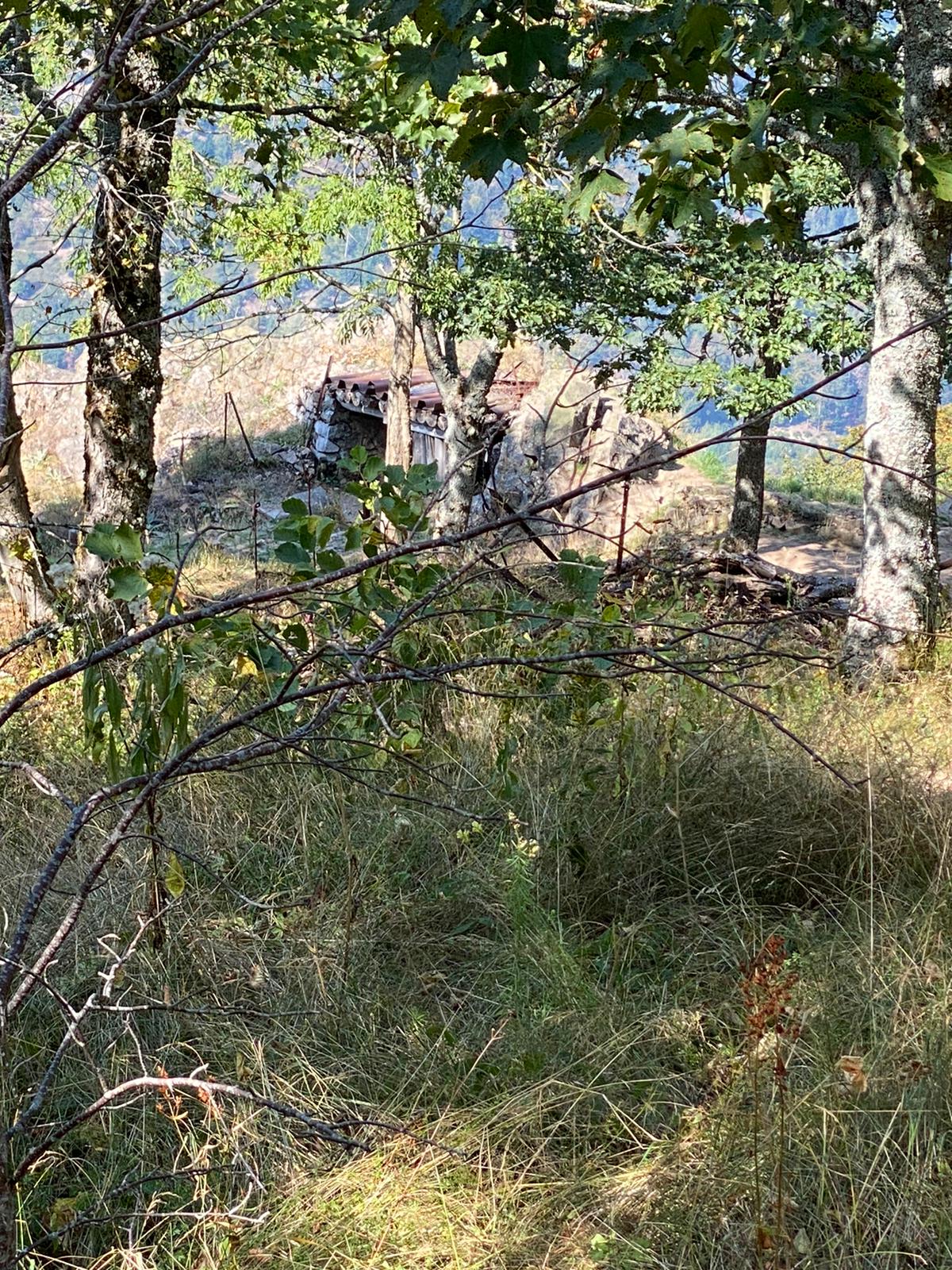 Photo n° 8 de l'avis de Andre.� fait le 18/09/2020 à 12:33