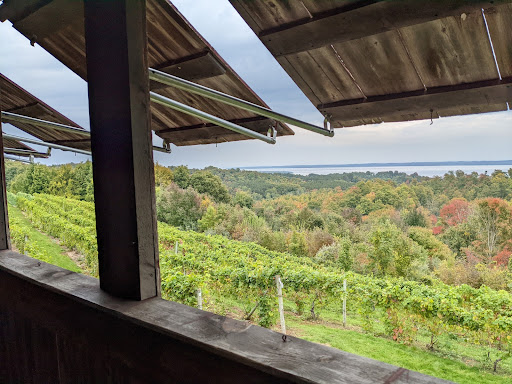 Vineyard «Ciccone Vineyard & Winery», reviews and photos, 10343 E Hilltop Rd, Suttons Bay, MI 49682, USA