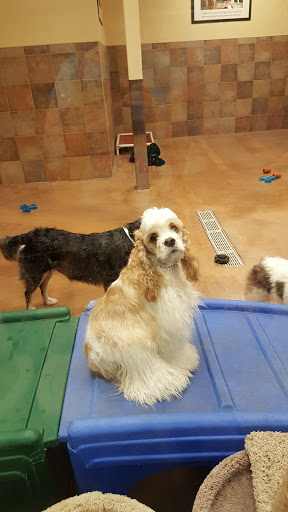 Pet Supply Store «PetSmart», reviews and photos, 5722 Fairmont Pkwy, Pasadena, TX 77505, USA