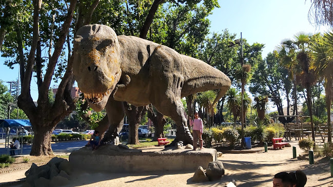 Comentarios y opiniones de Museo de Historia Natural de Concepción