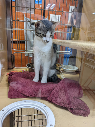 Pet Supply Store «PetSmart», reviews and photos, 271 New Rd, Somers Point, NJ 08244, USA