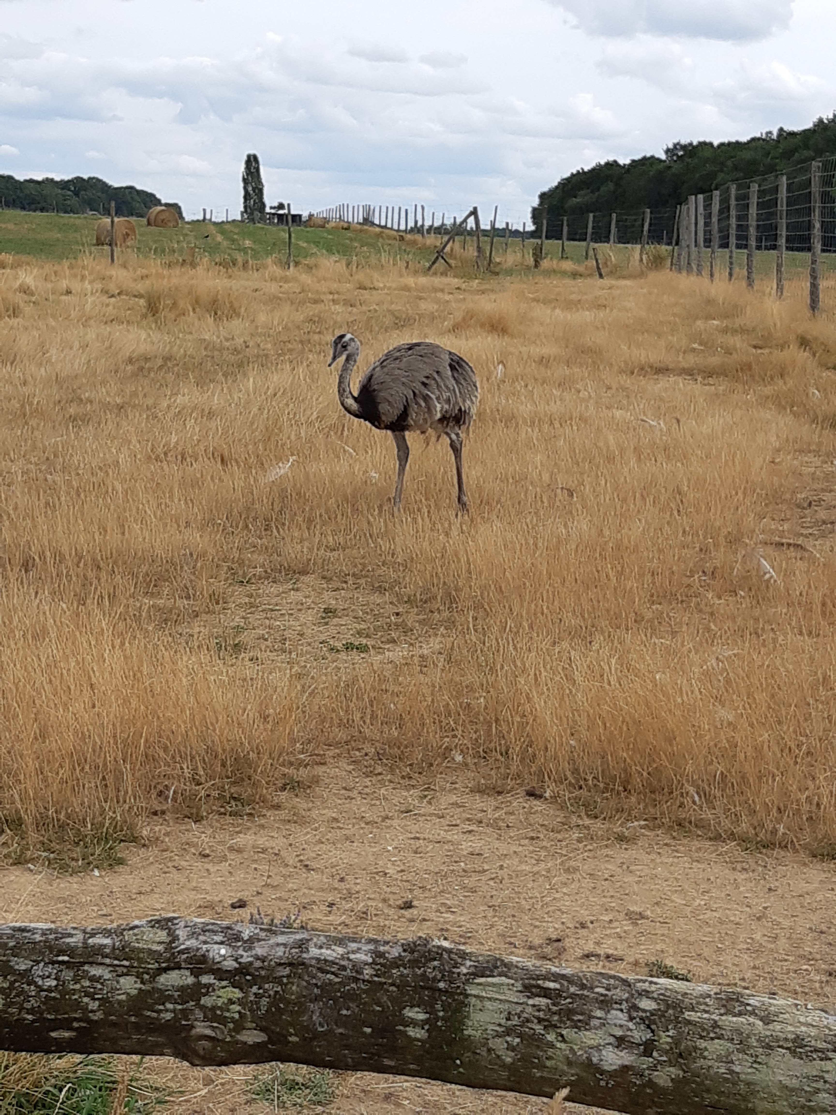 Photo n° 23 de l'avis de Carla.a fait le 10/08/2018 à 15:54