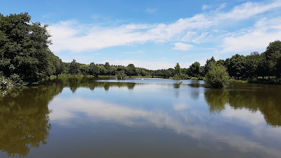 Étang de la Fonderie à Montsûrs