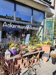 Ackermann Blumen Schleitheim