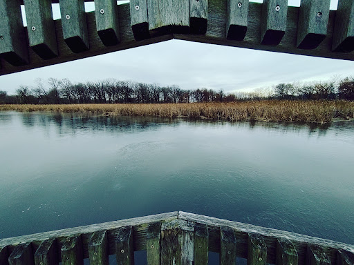 Nature Preserve «Lincoln Marsh», reviews and photos, Harrison Ave & Pierce Ave, Wheaton, IL 60187, USA
