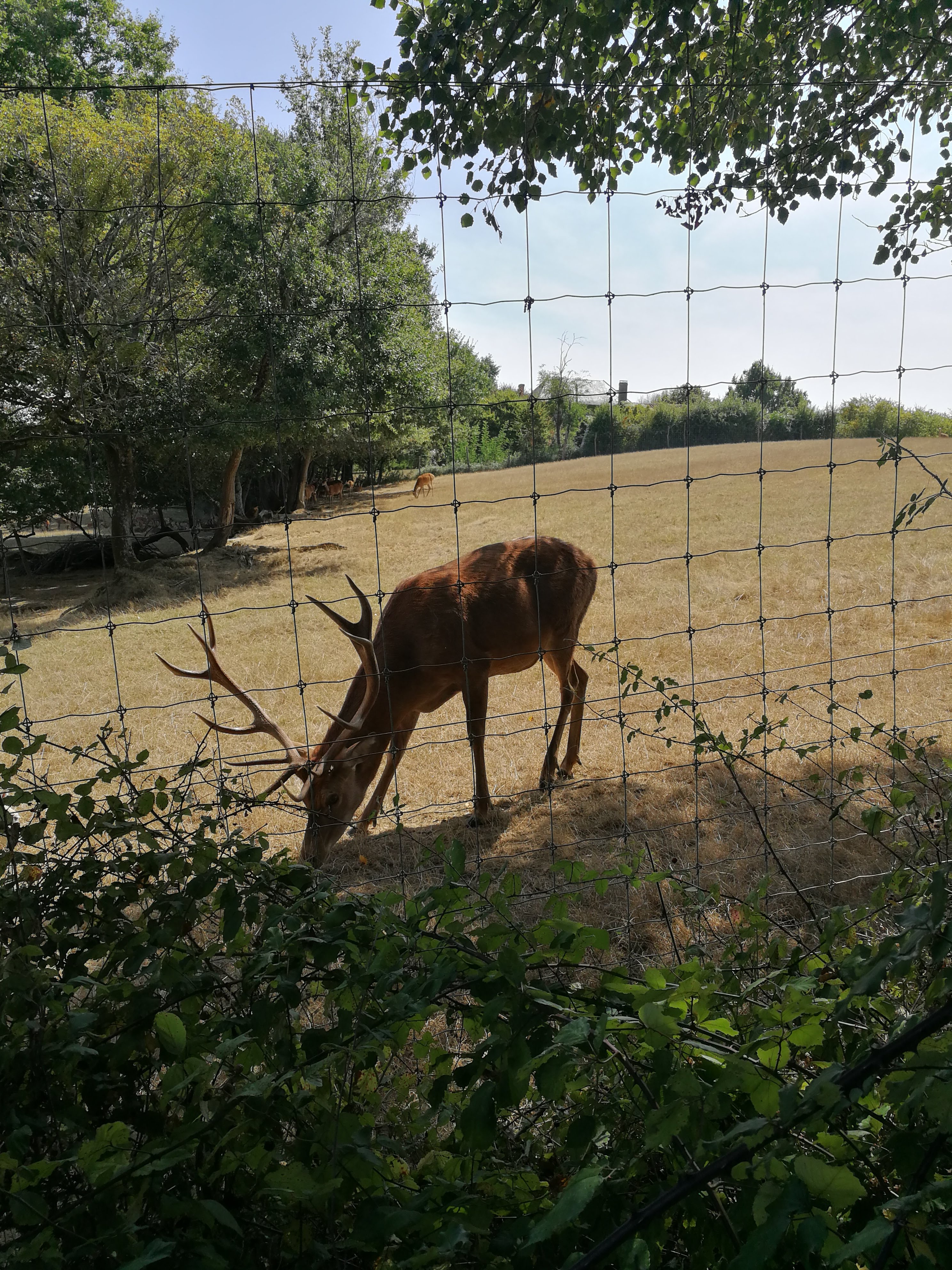 Photo n° 2 de l'avis de Amandine.e fait le 11/09/2018 à 07:04