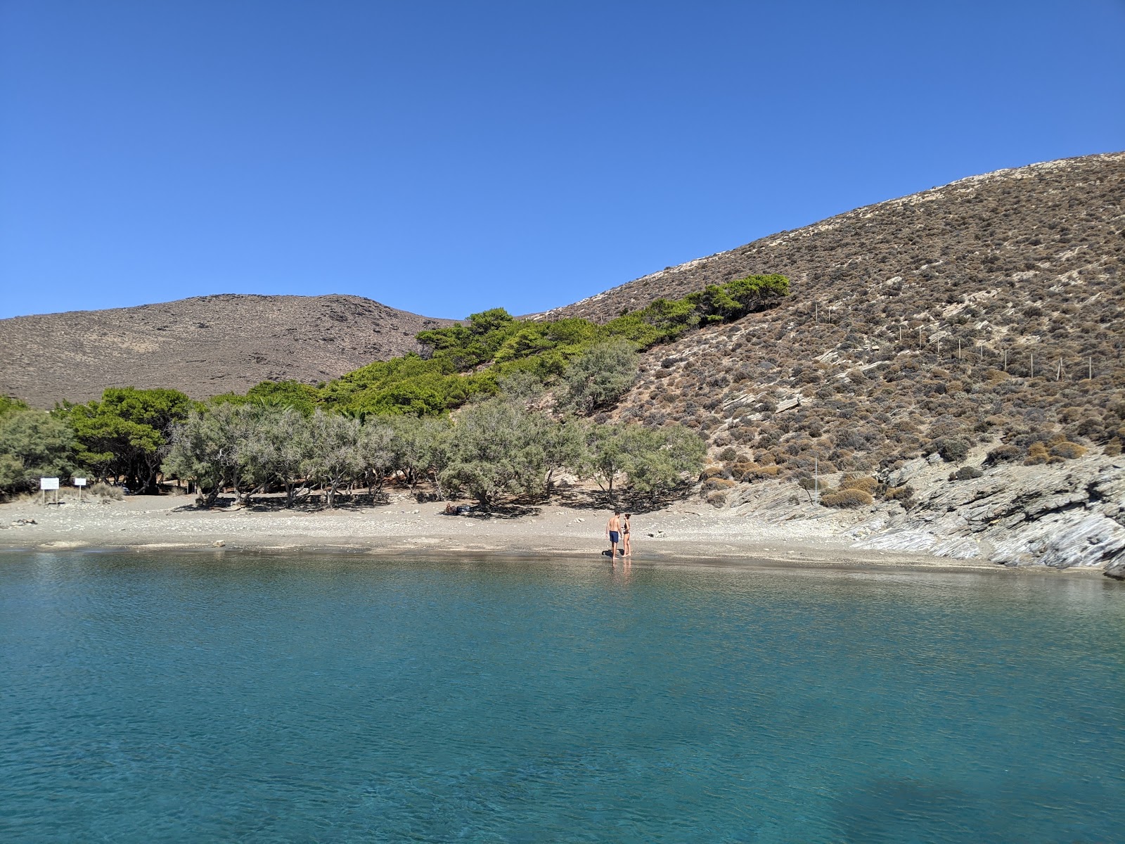 Foto af Americanou beach med små multi -bugter