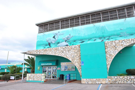Amusement Park «Gulfarium Marine Adventure Park», reviews and photos, 1010 Miracle Strip Pkwy SE, Fort Walton Beach, FL 32548, USA