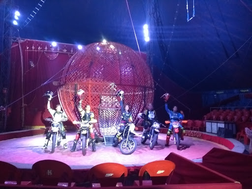 Circo Curitiba