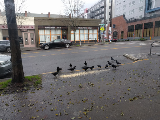 Coffee Shop «Kaladi Brothers Coffee», reviews and photos, 517 E Pike St, Seattle, WA 98122, USA