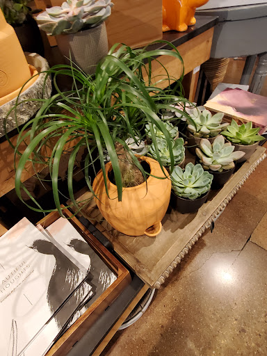 Grocery Store «Harmons», reviews and photos, 7755 700 E, Midvale, UT 84047, USA