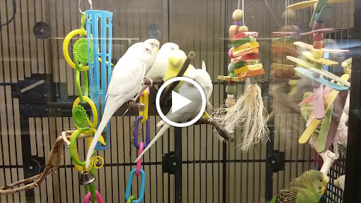 Pet Supply Store «PetSmart», reviews and photos, 13241 Gateway Center Dr, Gainesville, VA 20155, USA