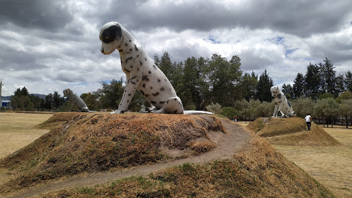 Dog campsites Quito