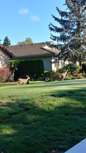 Private Golf Course «Michelbook Country Club», reviews and photos, 1301 NW Michelbook Ln, McMinnville, OR 97128, USA