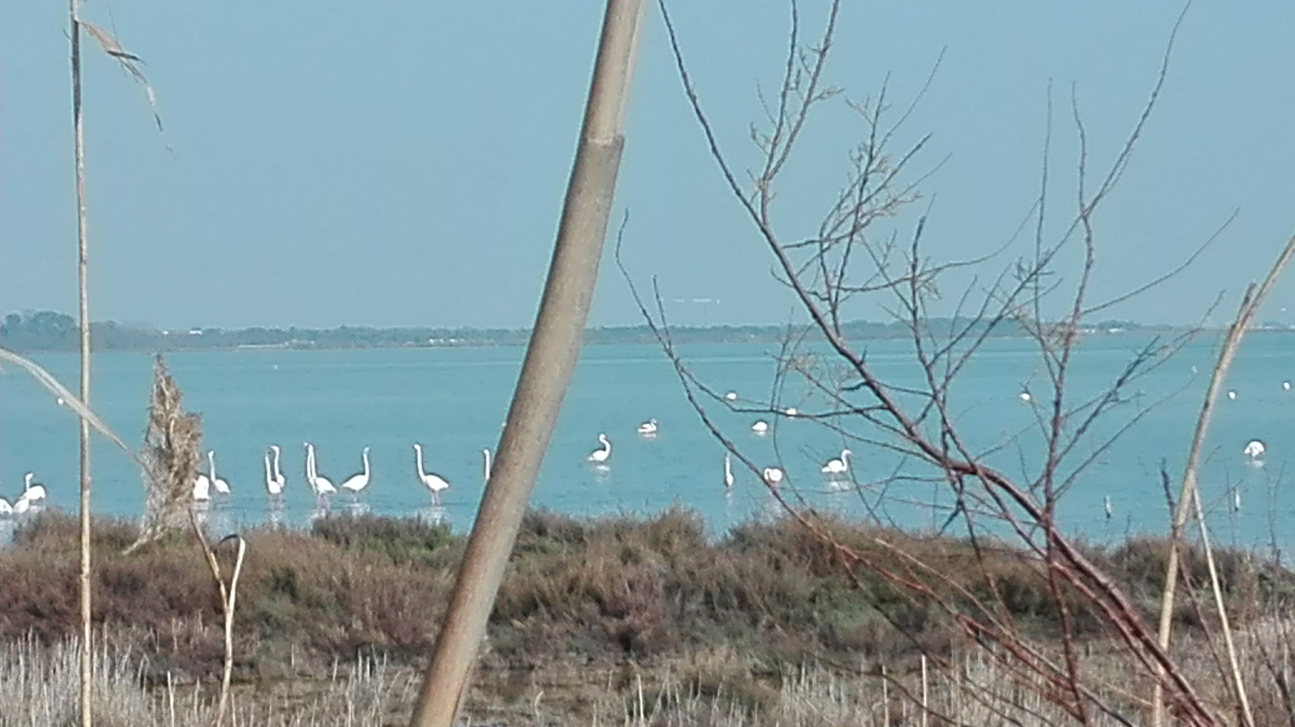 Photo n° 3 de l'avis de Marie.o fait le 04/03/2018 à 08:53