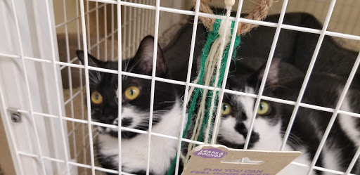 Pet Supply Store «Petco Animal Supplies», reviews and photos, 806 Sunrise Hwy, Baldwin, NY 11510, USA