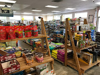 Crunchies Natural Pet Foods - Photo 9 - Car repair in Crofton, MD, Columbia