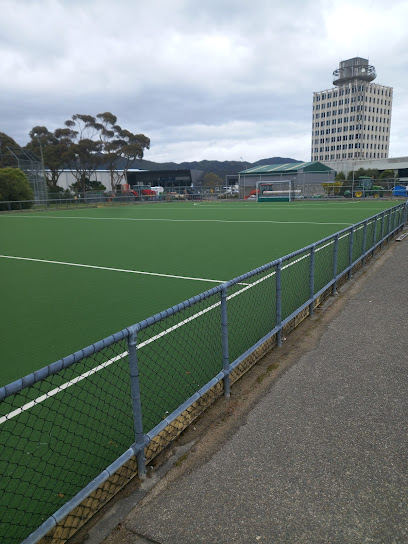 Fraser Park Hockey Turf