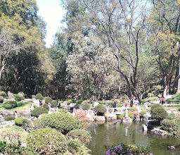 Colonos Prados Tepeyac photo