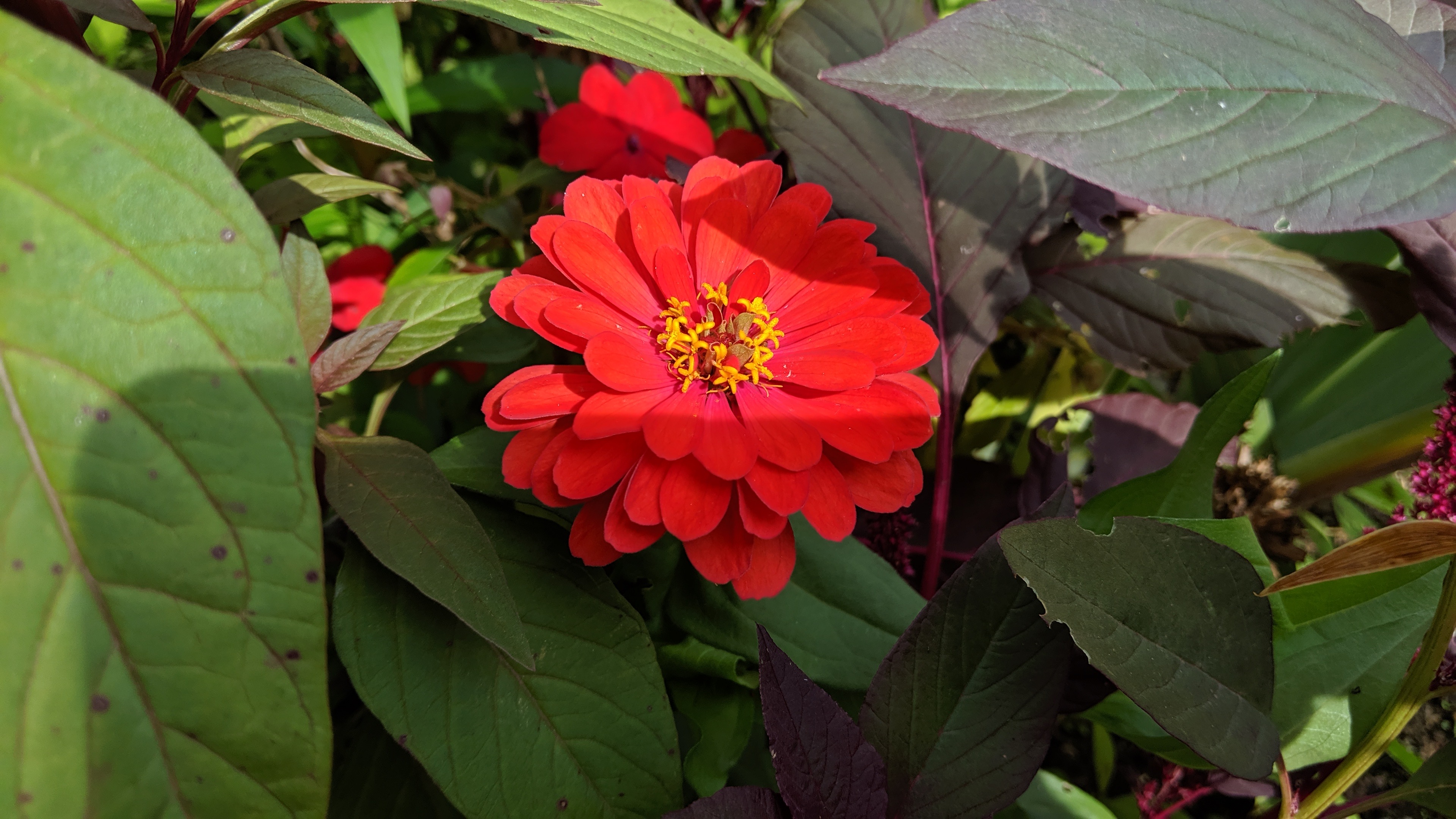 Photo n° 27 de l'avis de Tristan.a fait le 09/08/2021 à 16:22