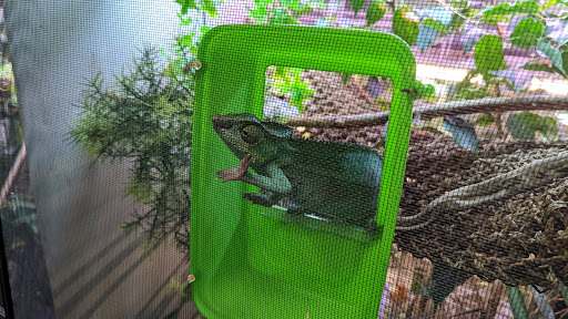 Pet Store «Zoo Creatures Pet Store», reviews and photos, 149 Plaistow Rd, Plaistow, NH 03865, USA