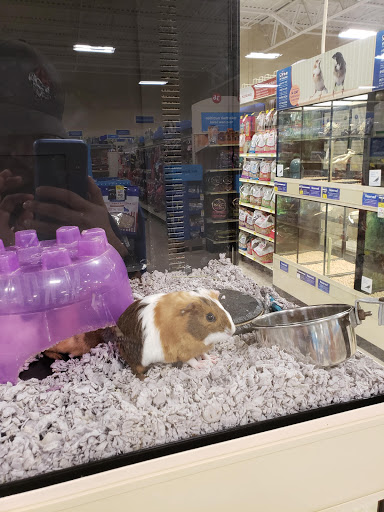 Pet Supply Store «PetSmart», reviews and photos, 150 Glynn Isle, Brunswick, GA 31525, USA