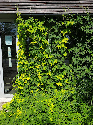 Maison de quartier Nelson Mandela à Sin-le-Noble