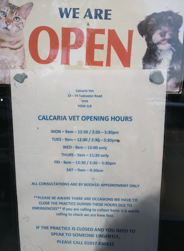 Calcaria Veterinary Practice - Veterinarian