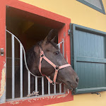 Photo n°16 de l'avis de Victoria.d fait le 15/08/2022 à 11:12 sur le  Farmhouse La Fattoria from Betel à Chiuduno