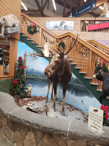 Shopping Mall «Kittery Premium Outlets», reviews and photos, 375 US-1, Kittery, ME 03904, USA