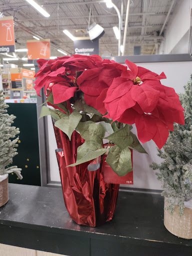 Home Improvement Store «The Home Depot», reviews and photos, 551 President Pl, Smyrna, TN 37167, USA