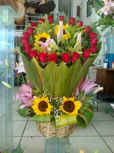 Florería ORQUIDEA – Zacatecas