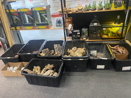 Tropical Fish Store «Optimum Aquarium», reviews and photos, 840 Ernest W Barrett Pkwy NW #700, Kennesaw, GA 30144, USA