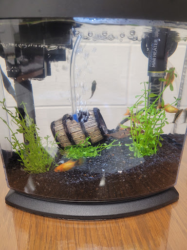 Pet Supply Store «PetSmart», reviews and photos, 5650 Mercury Dr, Dearborn, MI 48126, USA